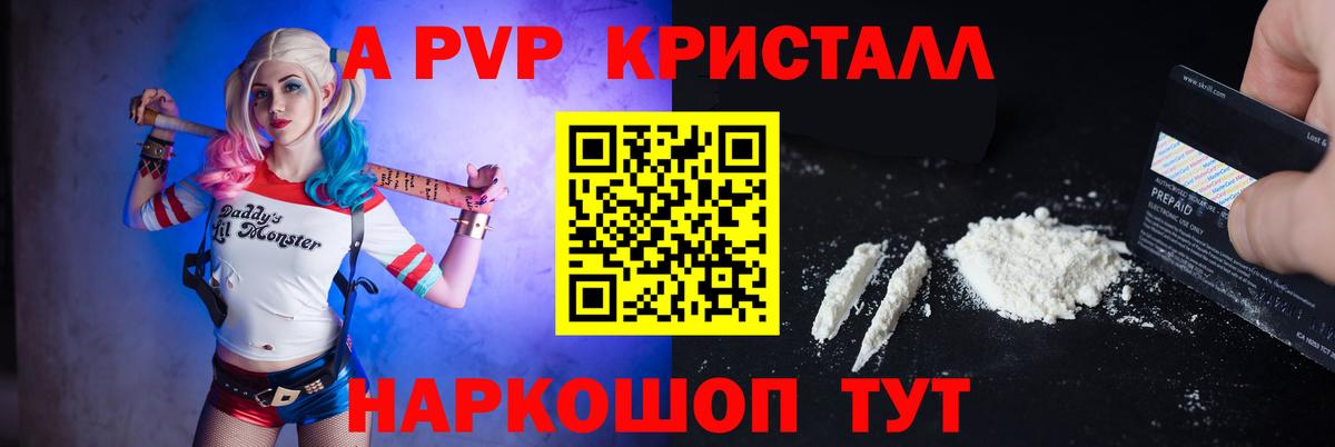 A PVP СК Кингисепп