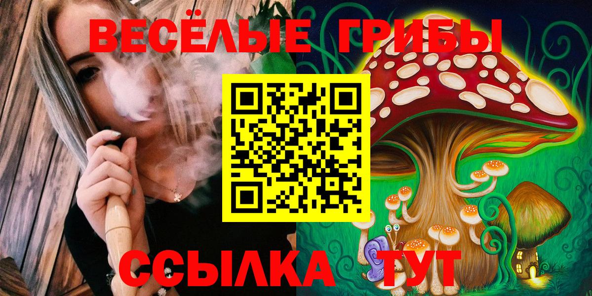 Псилоцибиновые грибы Psilocybine cubensis Кингисепп
